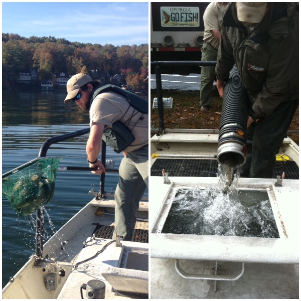 North Fishing Report Nov. 11, 2014 Wildlife Blog