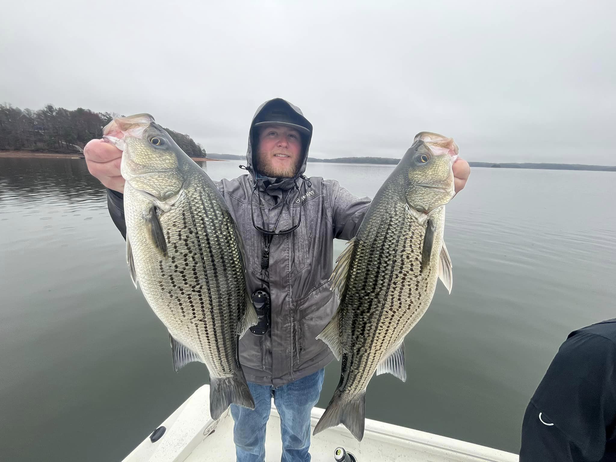 Hybrid Striped Bass – Lake Hartwell – Dillon Reome – Georgia Wildlife Blog